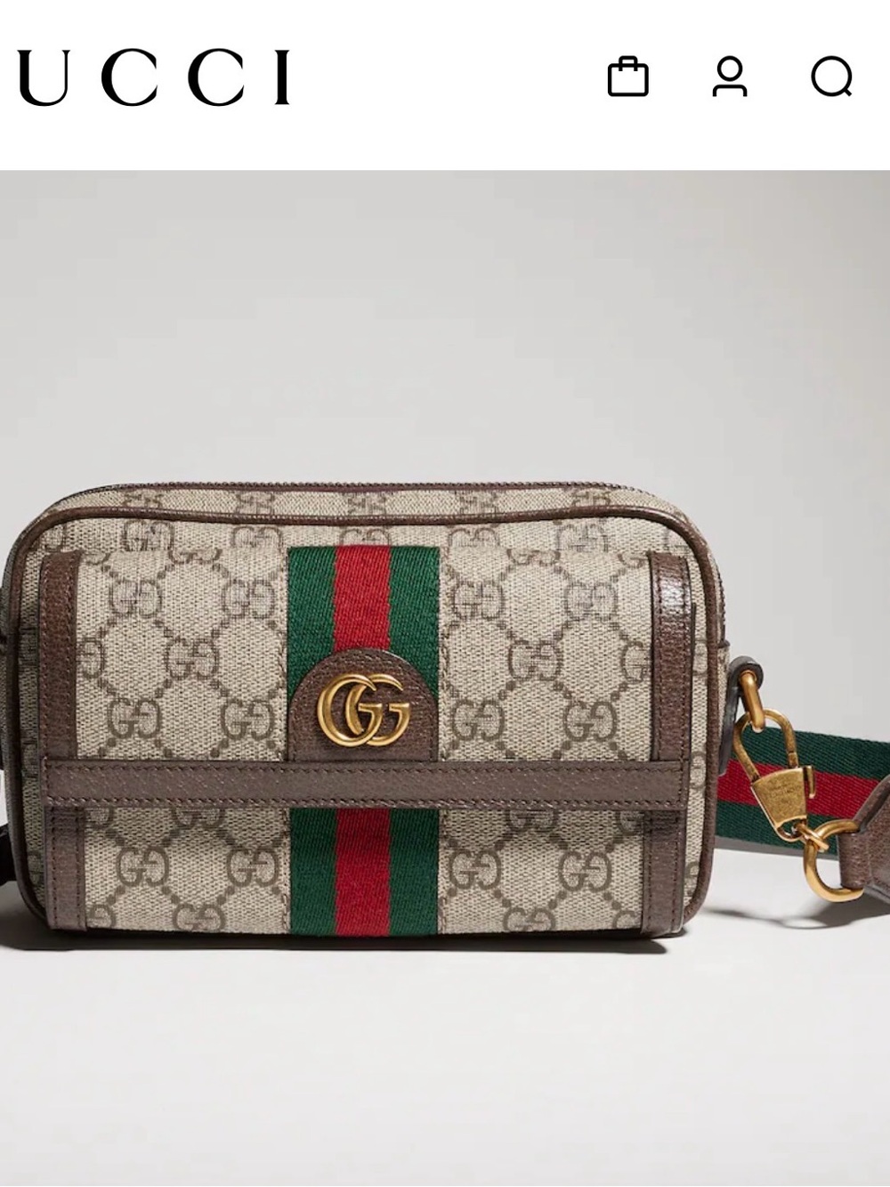 Ophidia Mini GG Supreme Canvas & Leather